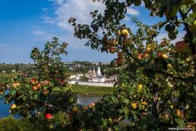 Apple-Speichern krank / ***