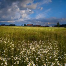 Sommer / ***