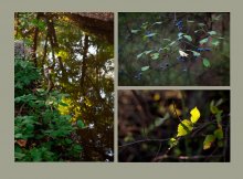 Ein Hauch von Herbst / ***