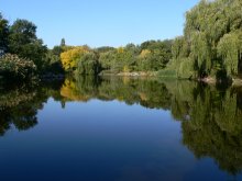 Reflexionen des Herbstes. / ***