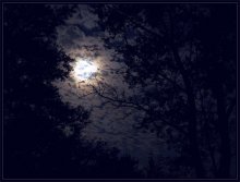 Sky / ***