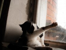 Vorbereitungen für die Wahlen / ***