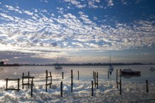 Dawn in Palic / ***