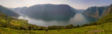 Sunny Aurlandsford / ***