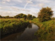 ...Tremblestown River... / ***