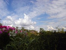 Ertrinken in den Farben. / ***