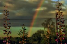 Nach dem Regen / Canon