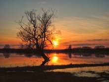 Bei Sonnenuntergang / ***