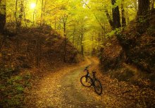Herbst Trails / .....
