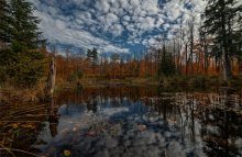 Transparent Autumn / Transparent Autumn