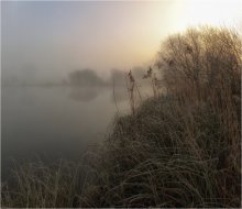 Misty frostigen ...... / ***