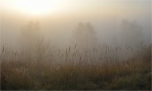 Unter einem Schleier von Nebel. / ***