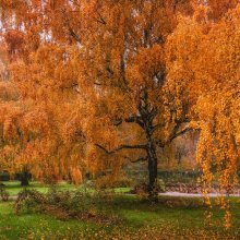 Mistress of Autumn / ***