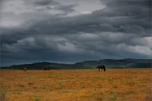 Über Herbst Wolken / ******