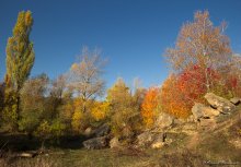 Herbst / ***