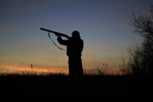 Auf der Jagd / ...