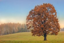 Frischer Atem des Herbstes / ***