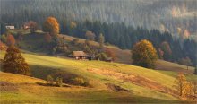 Goldene Hängen der Karpaten / ***