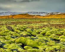 Colors of Iceland / *******