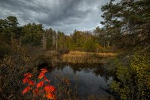 Transparent Autumn (Gatineau QB) / Transparent Autumn (Gatineau QB)