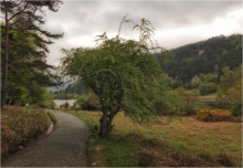 ...Glendalough trails... / ***