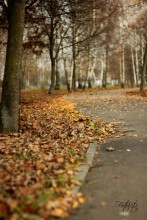 Straße zum Herbst / ***