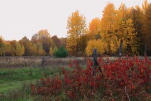 Herbstfarben / _____________________*
