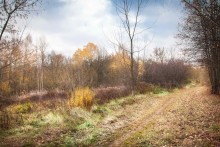 Herbstfarben! / ***