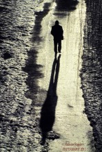 Werdegang / ***
