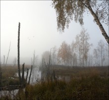 Morgen auf dem Moor. / ***