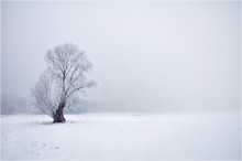 Winter-Nebel / ***