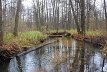 Im Labyrinth der Stokhid / ***