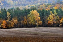 Herbst / ***