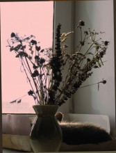 Happy days Masjani / ***