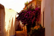 Obidos / ***