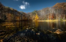 Transparent Autumn / Transparent Autumn