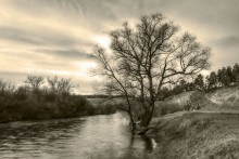 Herbst-Träume / ***