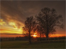 Samhain ... dathanna Lui na Gréine ... / ***