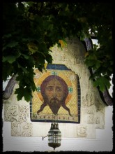 Unter dem Ahorn Gespeichert / ***