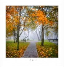 Stück der Blätter im Herbst in der Sonne ... / *******