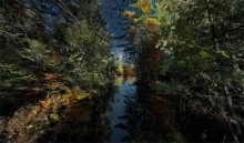 Transparent Autumn (Moriss Isl) / Transparent Autumn (Moriss Isl)