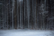 ...lazy Winter / ...lazy Winter