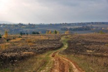 Herbst-Straße / ***