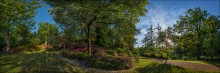 UK. Valley Gardens. Virginia Waters. Panorama #05 / ***