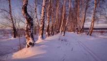 Winter in Moskau / (10.12.13....16:31)