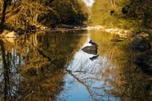 Herbst auf dem Fluss / ***