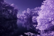 eine andere Welt / ***