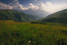 Sommer-Motiv / ...