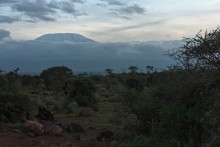 Kilimanjaro bei Sonnenuntergang / ***