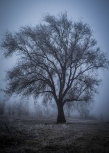 Misty Baum / ***